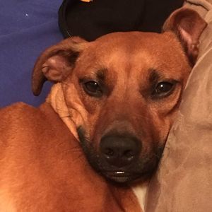 Meet your Posher, Helen